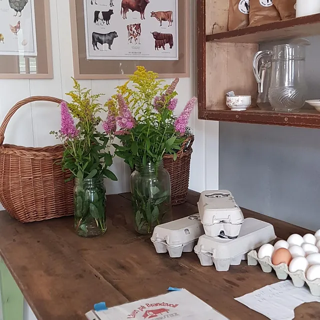 Kjøkkenbenk med egg